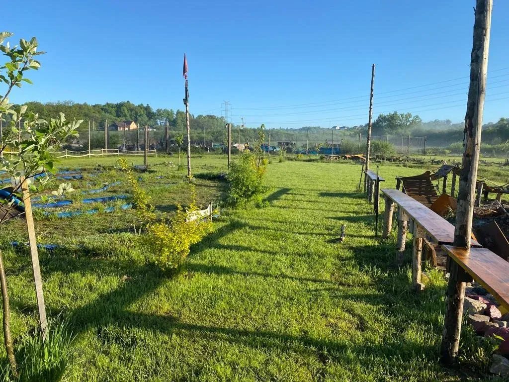 Gry zespołowe na półkoloniach