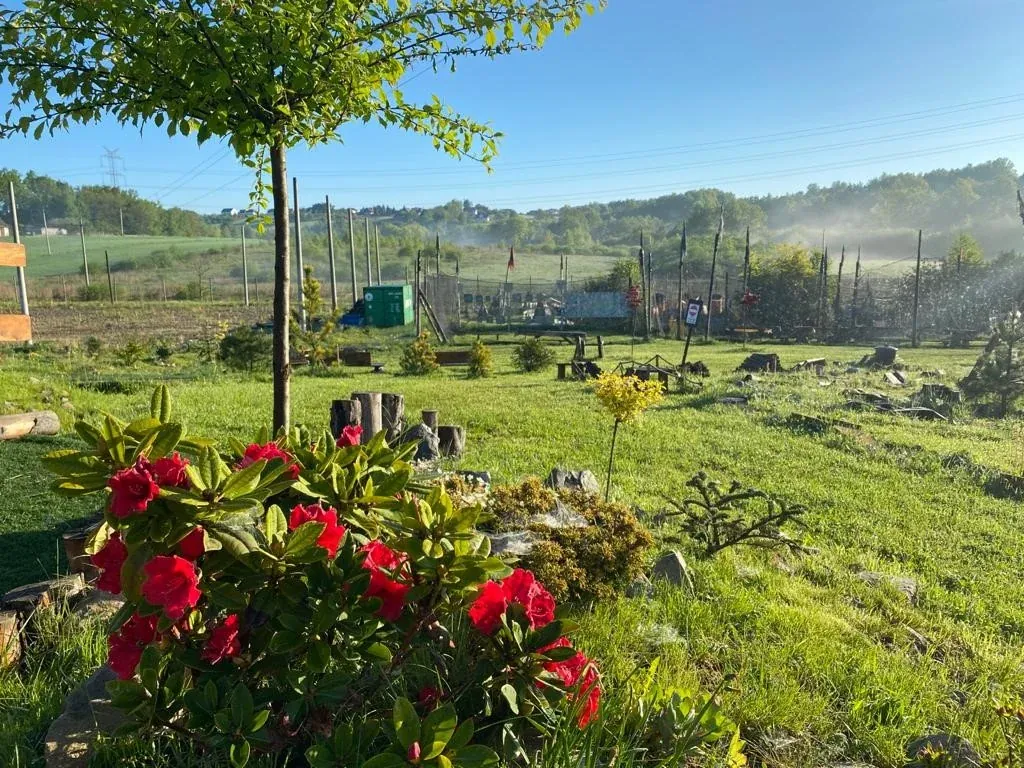 Aktywności sportowe na świeżym powietrzu