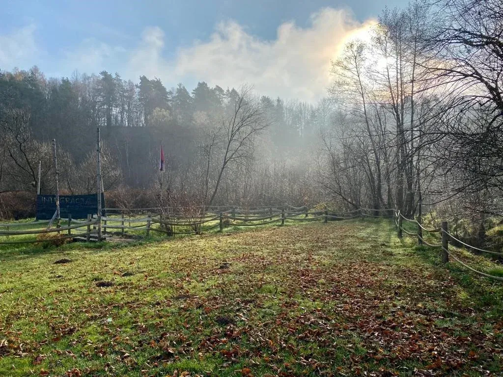Dzieci podczas zajęć sportowych
