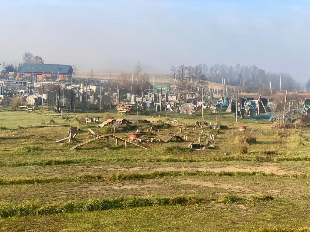 Przebieg wycieczki w Arenie Mocy